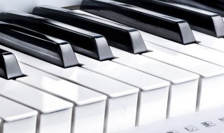 新手钢琴怎么挑选 新手钢琴怎么挑选好的