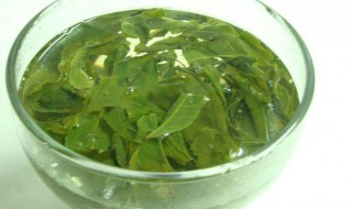 茶叶的用肥方法（茶叶肥配方）