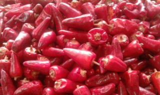 灯笼椒的处理方法 灯笼椒的处理方法图解