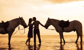 聊天怎样试探她喜欢你（聊天怎样试探她喜欢你呢）