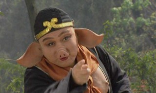 八戒都哪八戒呢