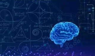 怎样提高智商 怎样提高智商情商和说话社交