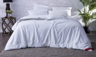 怎样洗蚕丝被（怎样洗蚕丝被套）