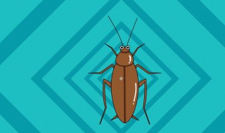 怎样消灭蟑螂（怎样消灭蟑螂不再生）