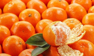 怎么挑橘子汁多