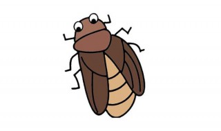 什么是蟑螂的天敌（什么是蟑螂的天敌呢）