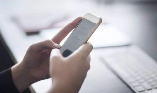 泡泡茶壶是什么梗?