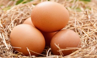 鸡蛋消毒的方法（鸡蛋消毒方法 新冠）