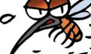 解决蚊虫的方法 如何解决蚊虫