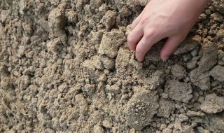 测试土质的方法