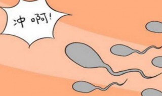 怎样才可以怀孕 男女生怎样才可以怀孕