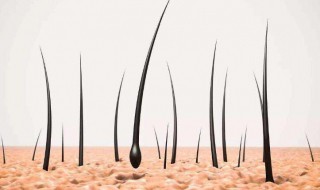 怎样让头发生长 怎样让头发生长更快