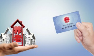 社保缴交怎么查询（缴社保费怎么查询）