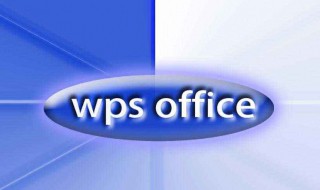 手机上WPS如何做笔记（手机wps怎样制作笔记本纸）