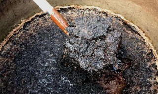 发酵黄豆怎样做底肥 发酵黄豆怎样做底肥最好