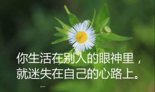 经典句子人生感悟（经典句子人生感悟精辟）