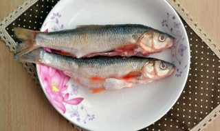 叉尾鱼怎么处理干净（叉尾鱼怎么吃好）