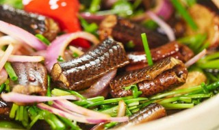 黄鳝保持鲜活的方法 黄鳝保持鲜活的方法有哪些