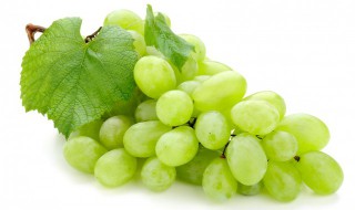 葡萄是热性还是凉性（葡萄柚是热性还是凉性）