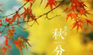 秋分是秋天的第几个节气（秋分是秋天的第几个节气?A.2）