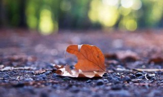 秋分出生的人的命运如何（秋分时节出生寓意）