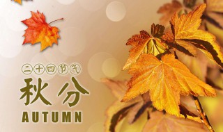 秋分节气的含义（秋分节气的含义及寓意）
