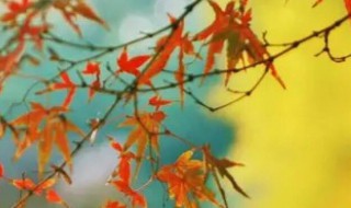 秋分时间（秋分时间几月几日）