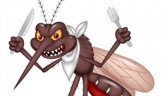 家里蚊子多怎么办（家里蚊子多怎么办?）