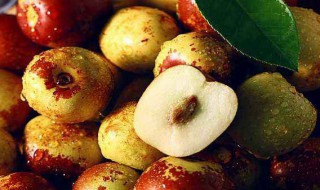 冬枣的功效与作用禁忌（蒸的冬枣的功效与作用禁忌）