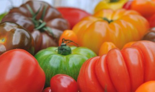 没成熟的青西红柿能吃吗 没成熟的青西红柿能吃吗有毒吗