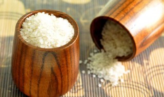 大米怎样做不生虫（大米怎么弄不生虫子）