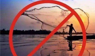 长江禁渔是为什么 长江禁渔为什么是十年