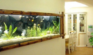 家里鱼缸放在什么位置好（家里鱼缸放在什么位置好家家庭仰养什么鱼好）