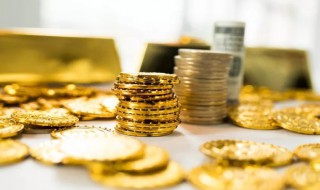 失业保险缴费比例 云南省失业保险缴费比例