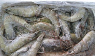 活虾不敢碰怎么处理（活虾不敢去虾线怎么办）