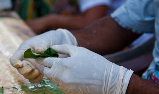 槟榔是什么味道（槟榔是什么味道的为什么会上瘾好吃吗）