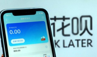 什么是蚂蚁花呗 什么是蚂蚁花呗溢存款