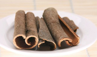 桂皮是什么（桂皮是什么皮）