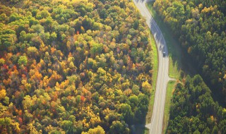 什么的森林 什么的森林二年级