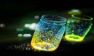 萤火虫是益虫还是害虫 萤火虫是益虫还是害虫?请说明理由