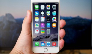 苹果手机定位在哪里设置（苹果手机定位在哪里设置苹果丢失能找到吗）