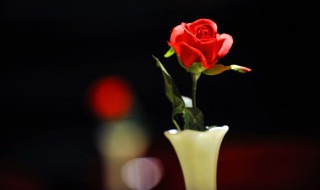 情人节送女朋友什么礼物呢 情人节送女朋友什么礼物比较有意义2020