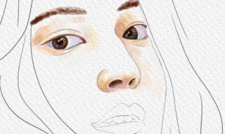 鼻翼是什么地方 鼻翼的准确位置图片