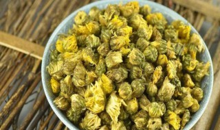 胎菊泡水喝有什么功效（胎菊泡水喝有什么功效和副作用）