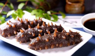 海参一周吃几个最佳 孕妇海参一周吃几个最佳