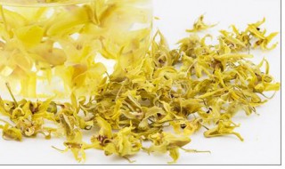 铁皮石斛花泡水喝有什么功效（铁皮石斛花泡水喝有什么功效和作用禁忌）