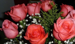 19朵玫瑰花代表什么意思（19朵玫瑰花代表什么意思啊英语）