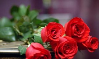 21朵玫瑰花代表什么意思（19朵玫瑰代表什么意思）