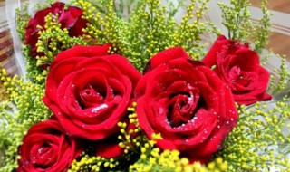 5朵玫瑰花代表什么意思 52朵玫瑰花代表什么意思