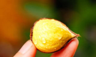 板栗的保存最有效方法 板栗的保存方法有哪些